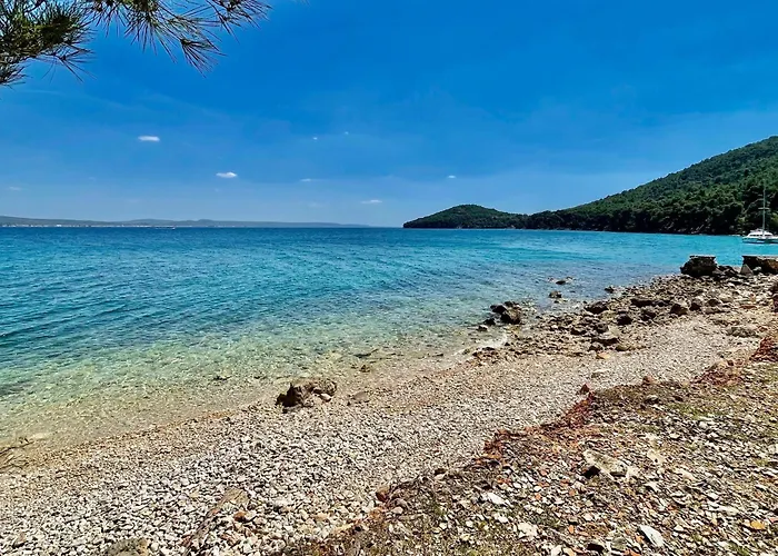 Apartment By The Sea Kali, Ugljan - 24314 Kali